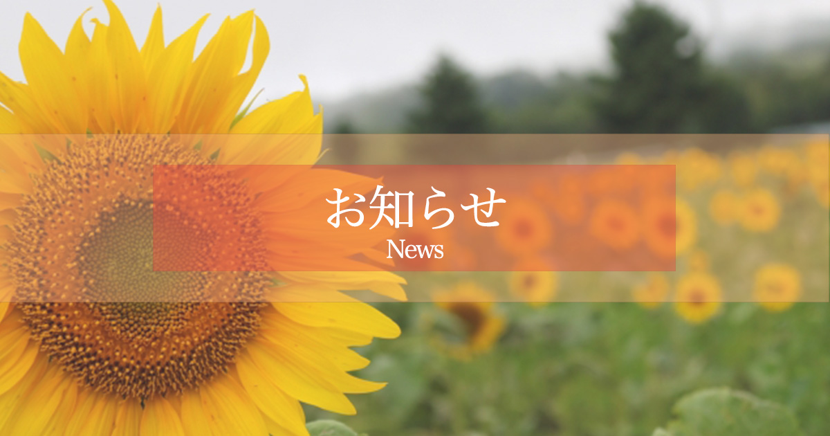 ひまわり